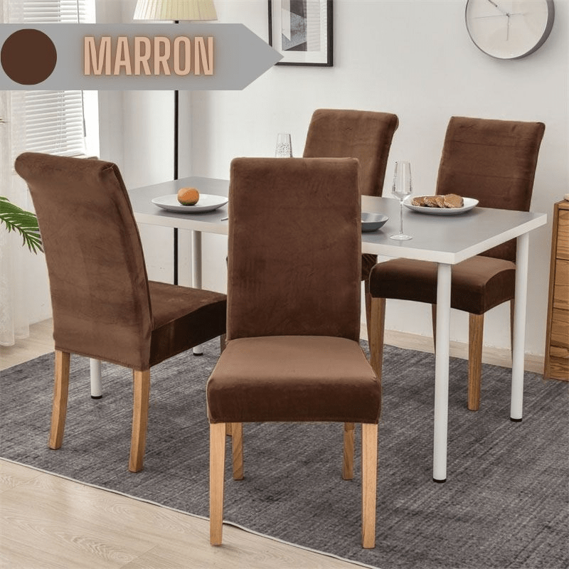 Housse de Chaise Extensible