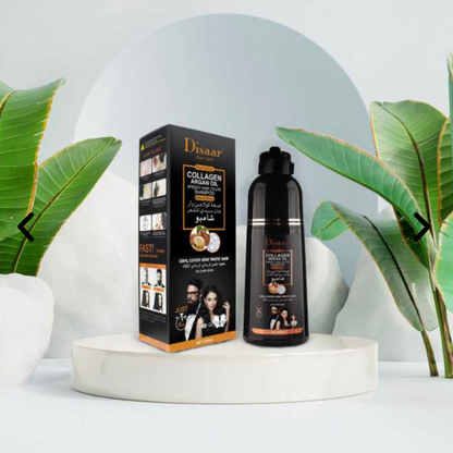 شامبوان ضد الشيب الأصلي