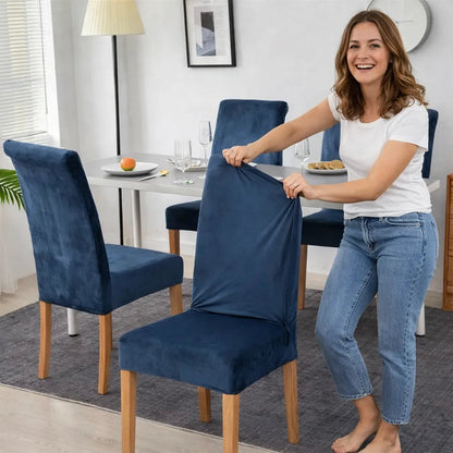 Housse de Chaise Extensible